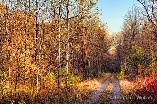 Autumn Trail_29798.jpg - Cataraqui trail photographed near Lombardy, Ontario, Canada.